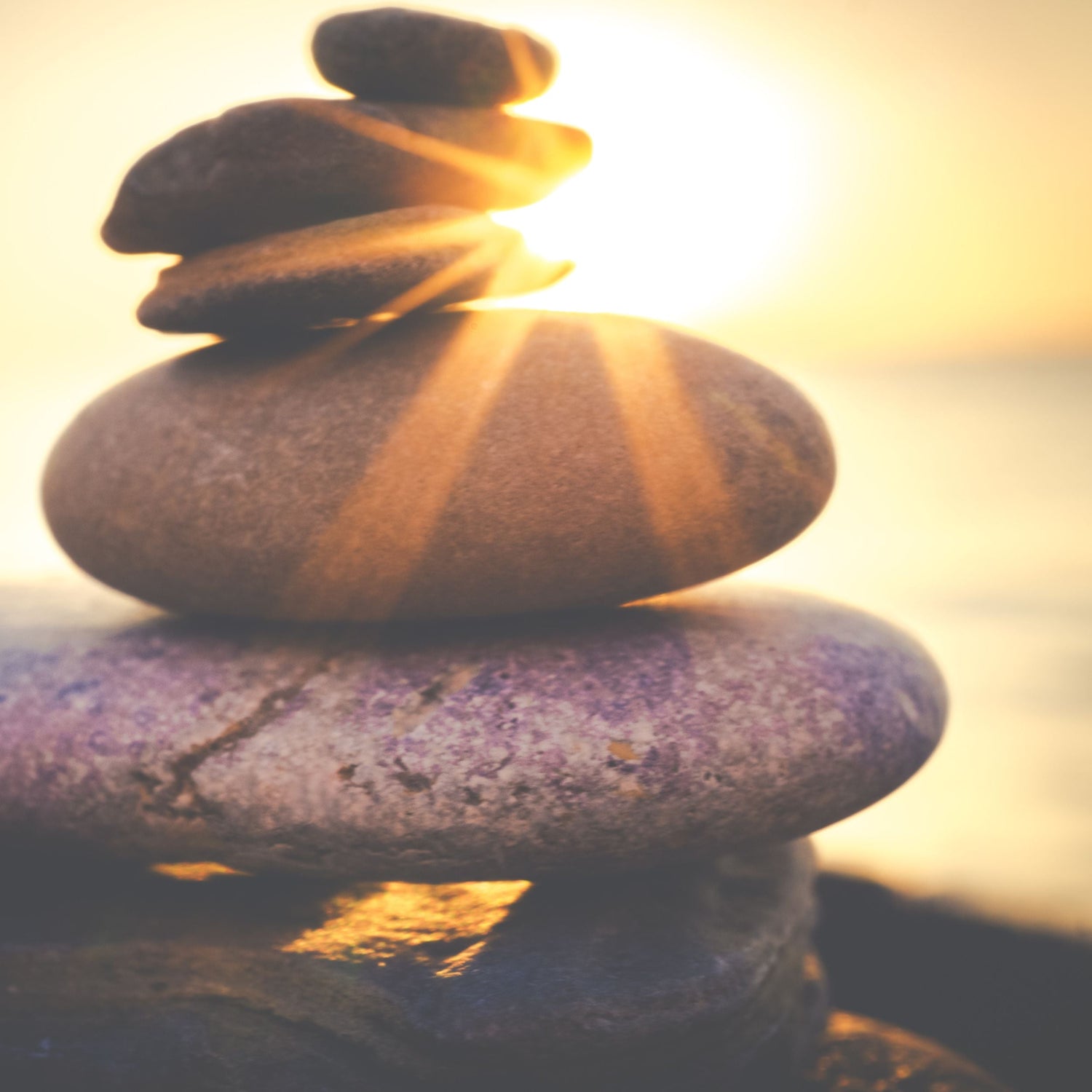 FOCUS & STRESS RELIEF